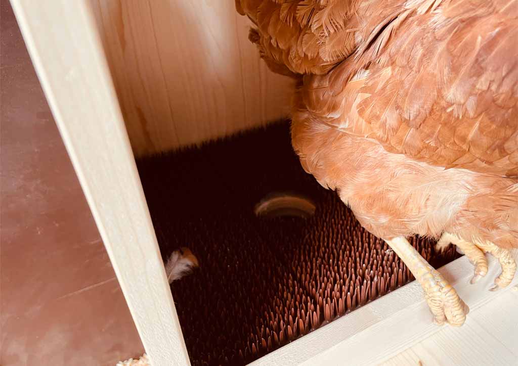 Hühnernest selber bauen