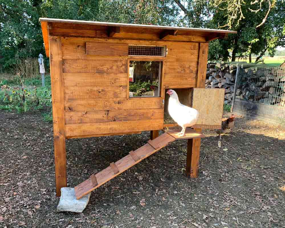 Hühnerstall selbst bauen